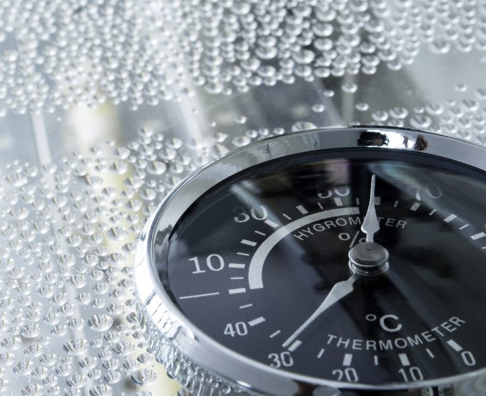 How High Humidity Is Dangerous for Your Home and Family