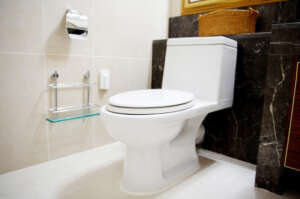 Pro Toilet Bathroom Plumbing Plumber