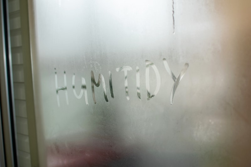 3 Reasons to Control Your Home’s Humidity in Kinston, NC