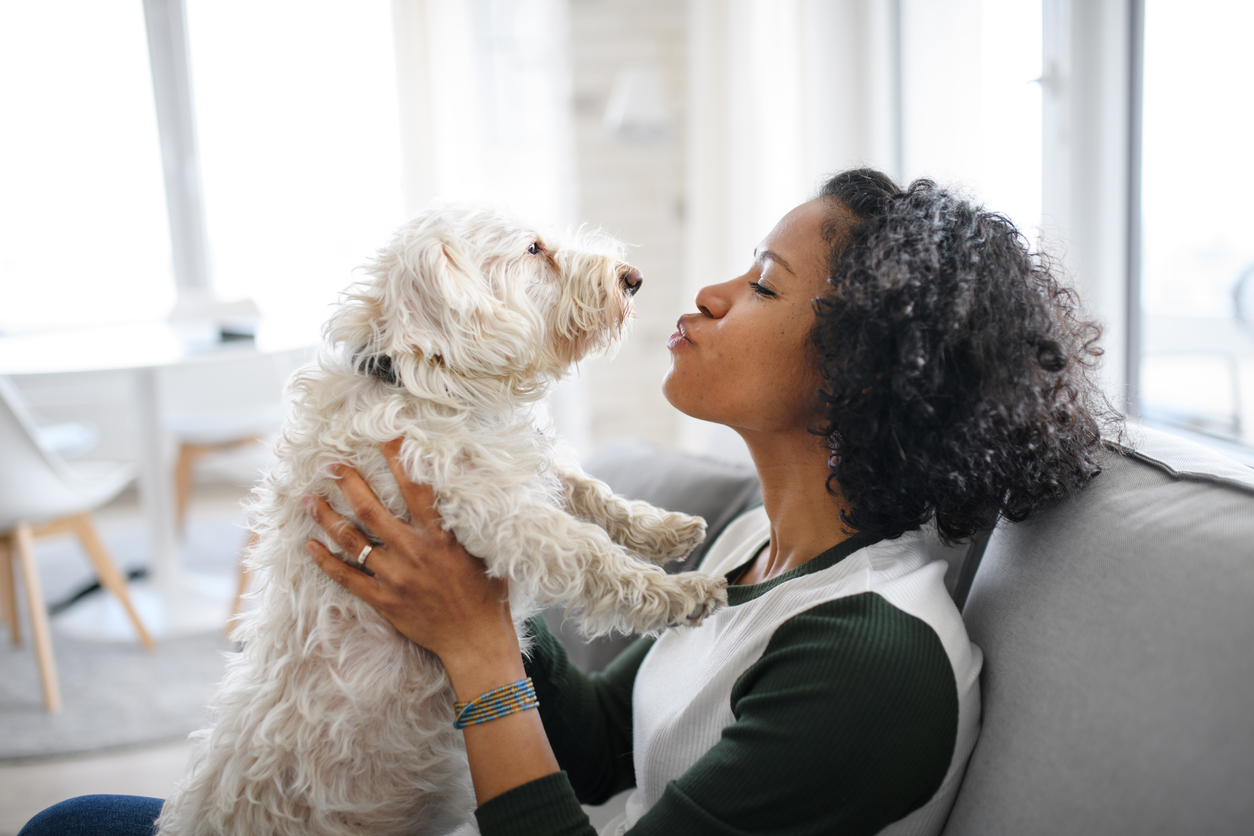 4 HVAC Maintenance Tips for Pet Owners in Kinston, NC